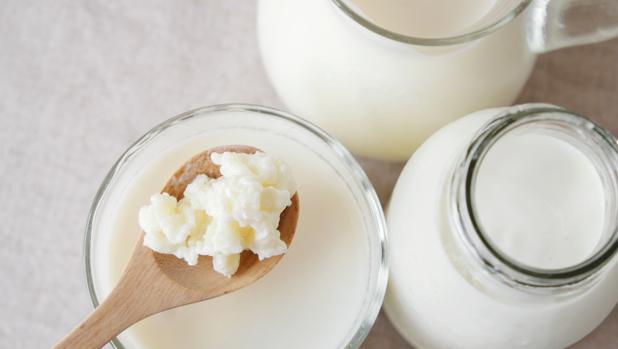 Bebidas que mejoran tu sistema inmune y evitan que te cojas una gripe 68 Merca2.es probio Merca2.es