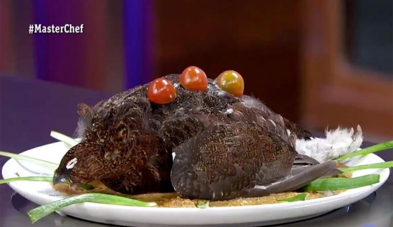 La perdiz sin cocinar con expulsión inmediata de Masterchef