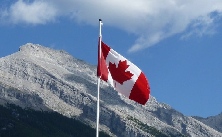 Canada trading Merca2.es