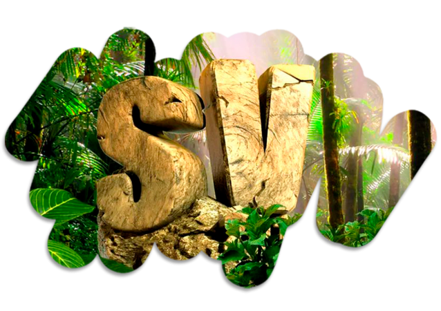 Supervivientes 2023: los retos ‘mortales’ que podrían hacer en la edición 52 Merca2.es ¿El programa tendrá consecuencias entre los participantes?