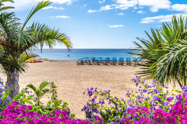 playas