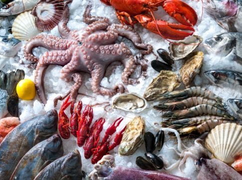 cocinar-mariscos-1 La guía definitiva para hacer marisco de matrícula sin saber cocinar mariscos