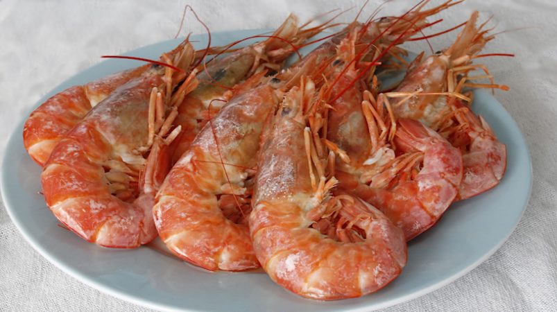 Langostino