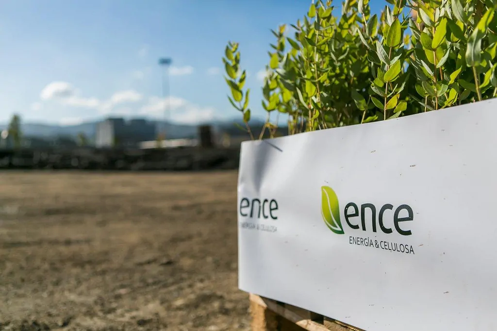 Ence deja atrás un buen 2024 y perfila nuevos y prometedores negocios
