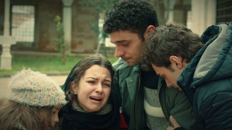 hermanos 5 Merca2.es