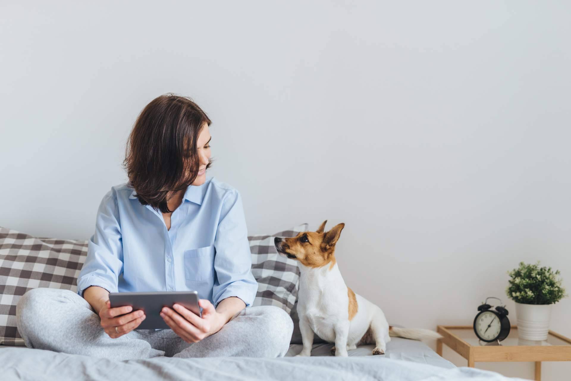 Mediación animal en los procesos de familia con Aboganimal Mediación animal en los procesos de familia con Aboganimal