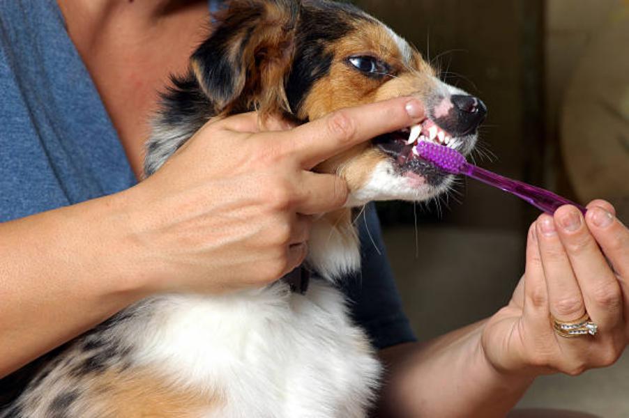 Seguir una rutina de higiene dental