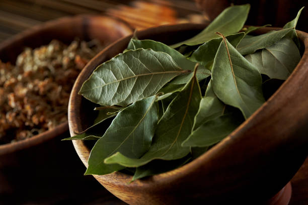 Hoja de laurel
