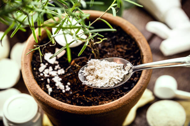 Fertilizantes y abonos con cáscara de huevo