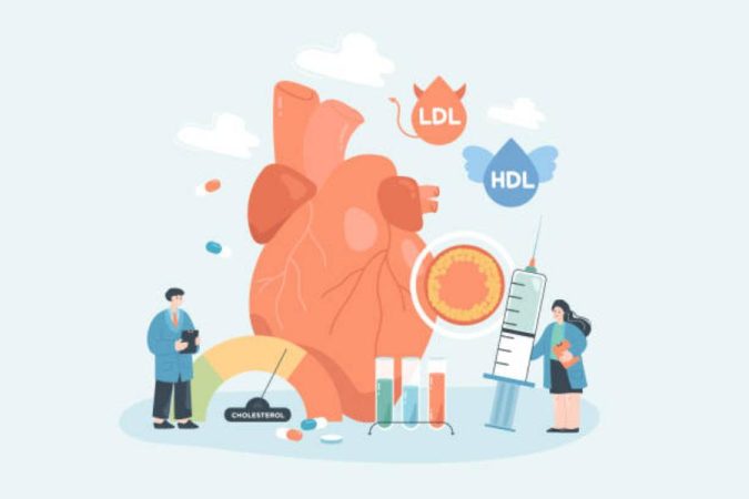 Diferencias del colesterol LDL y HDL, el "bueno" y "malo"