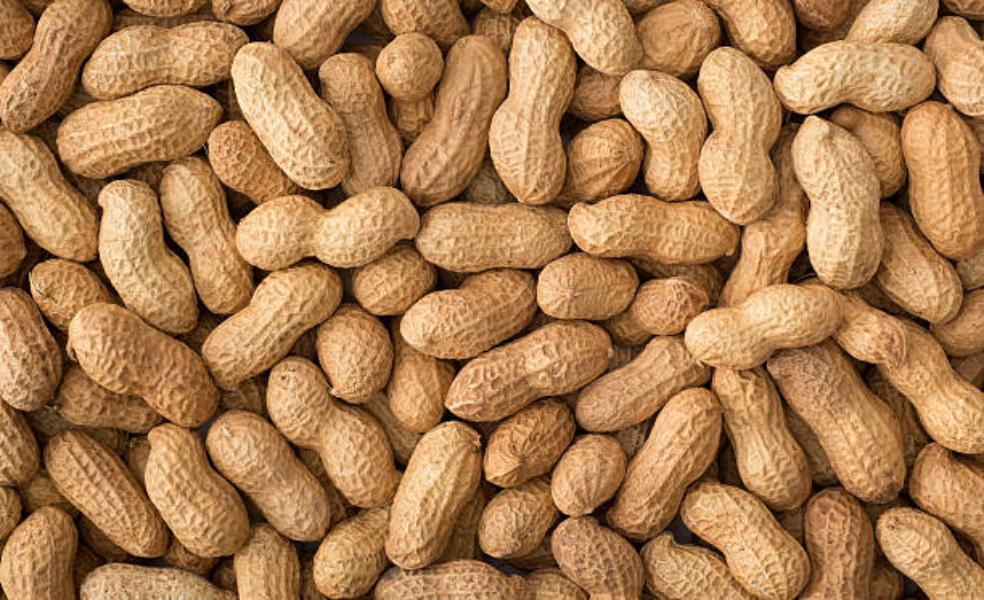 Los cacahuetes regulan el colesterol