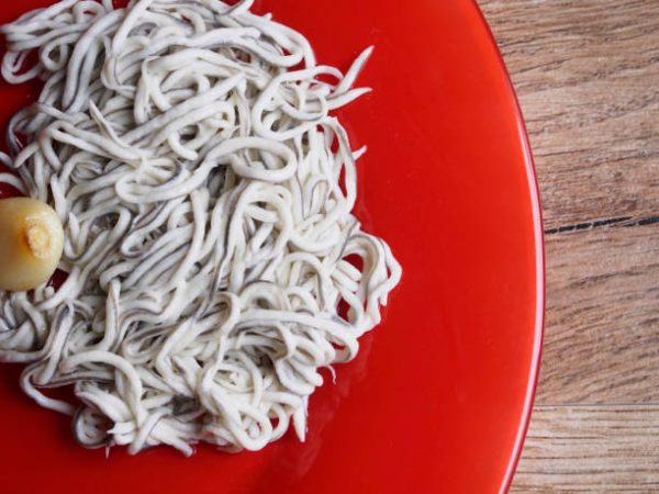 Qué son las gulas y por qué se han popularizado