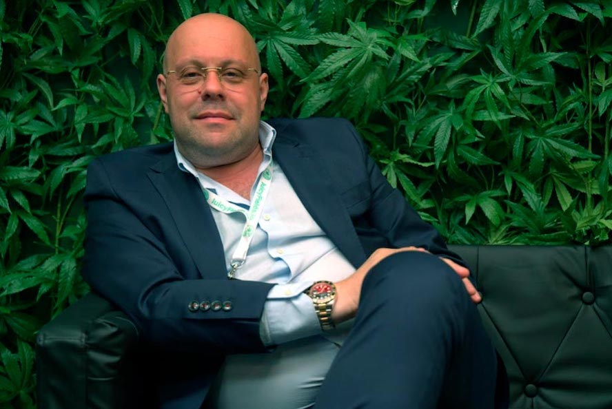 La inversión en marihuana: superior a la ley pero no a la incertidumbre del mercado 1 Merca2.es Marihuana - Juicy Fields