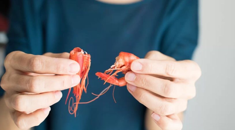 ¿Cómo evitar las intoxicaciones alimentarias?