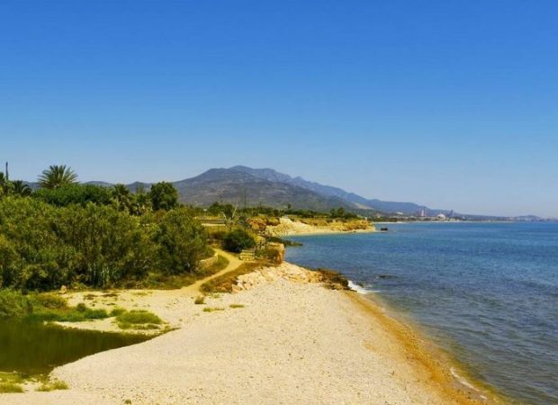 screenshot www.guiarepsol.com 2022.12.22 19 40 11 Merca2.es