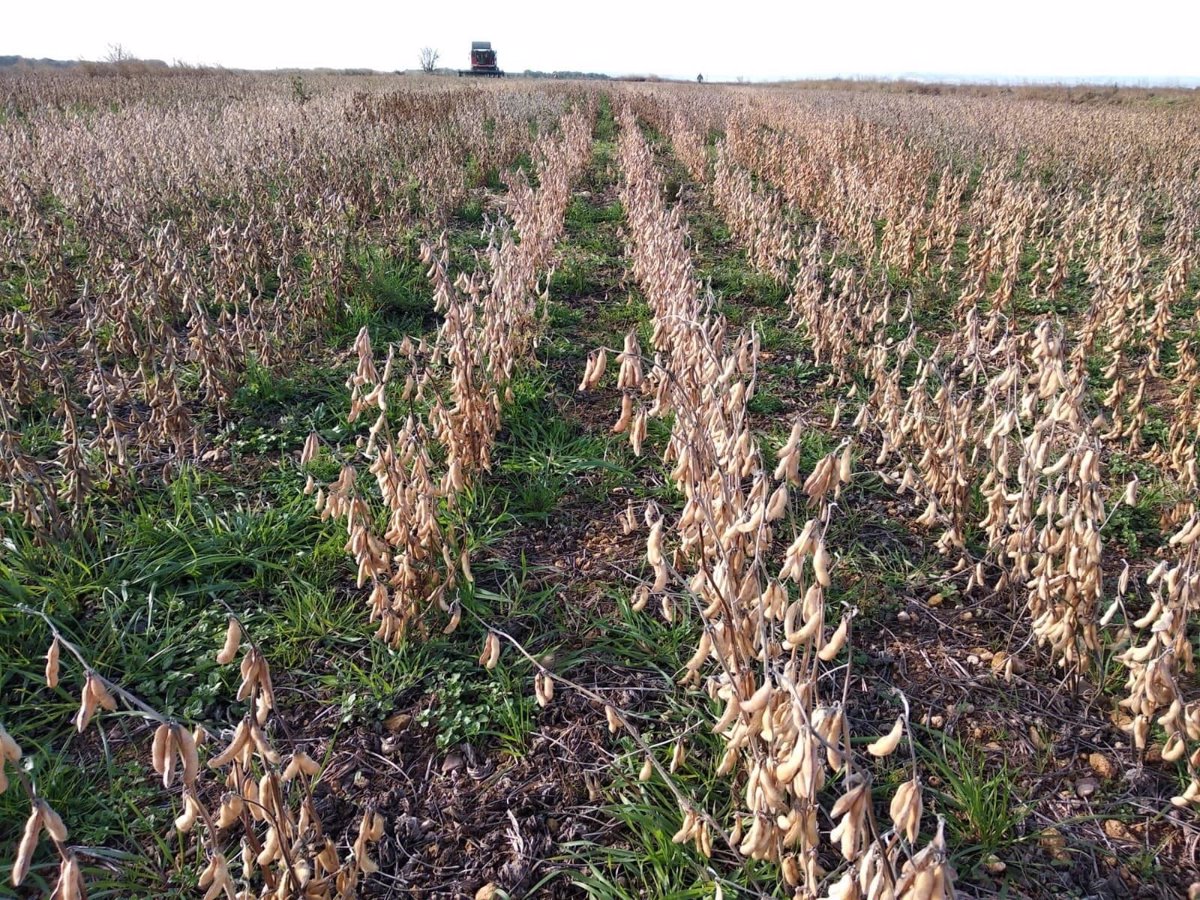 Las materias primas ganan al Bitcoin ante el conflicto entre Rusia y Ucrania