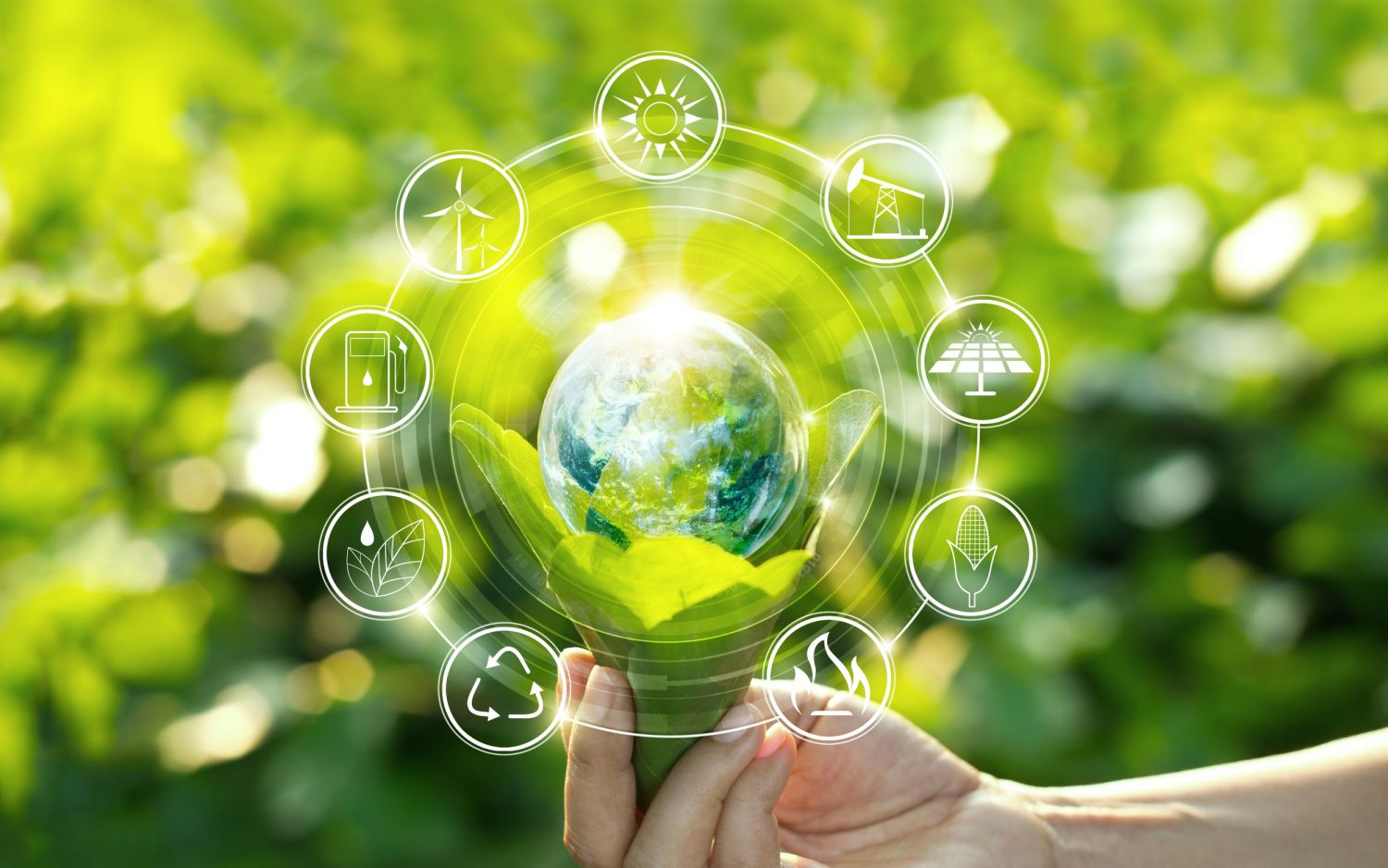 Sostenibilidad vs. crecimiento económico: ¿es posible tener ambos?
