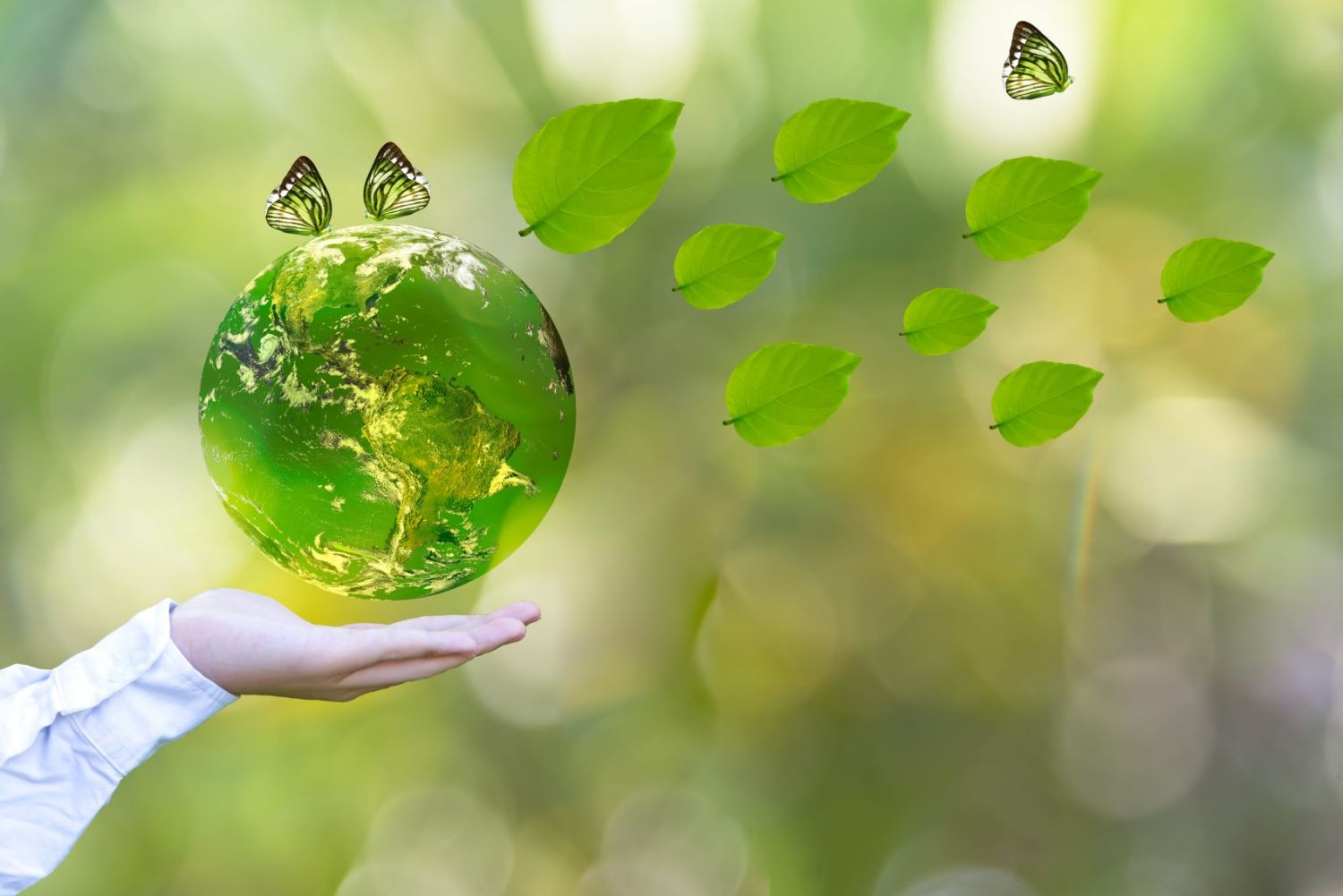 Cómo asegurar la biodiversidad desde tu hogar