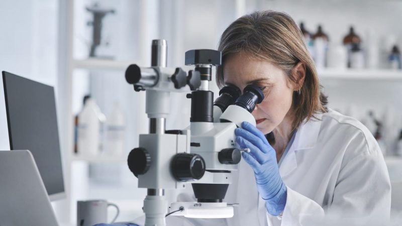 Muchos investigadores se han puesto a trabajar sobre esta hipótesis