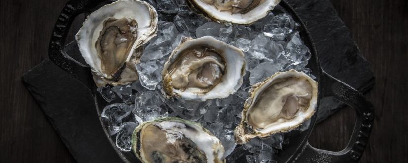 La mayonesa con moluscos de Berasategui que lleva al siguiente nivel cualquier plato 55 Merca2.es 1. Ayudan a mejorar tu memoria