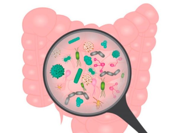 medicamento cancer de estomago 8 Merca2.es