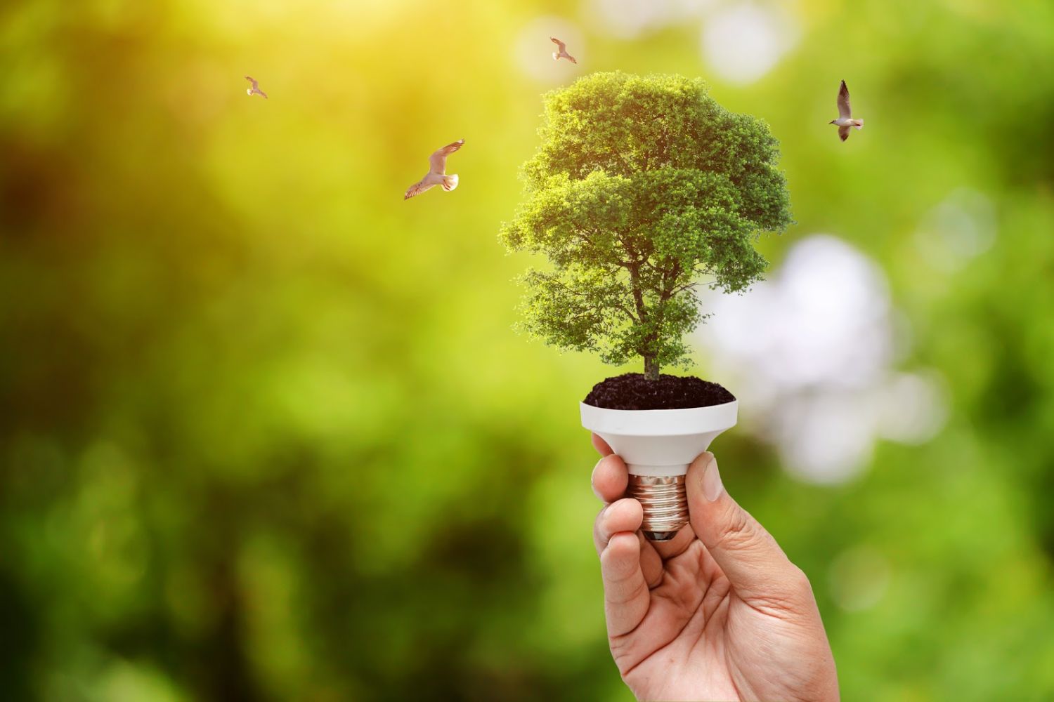 Cómo ahorrar agua, energía y otros recursos naturales en tu hogar