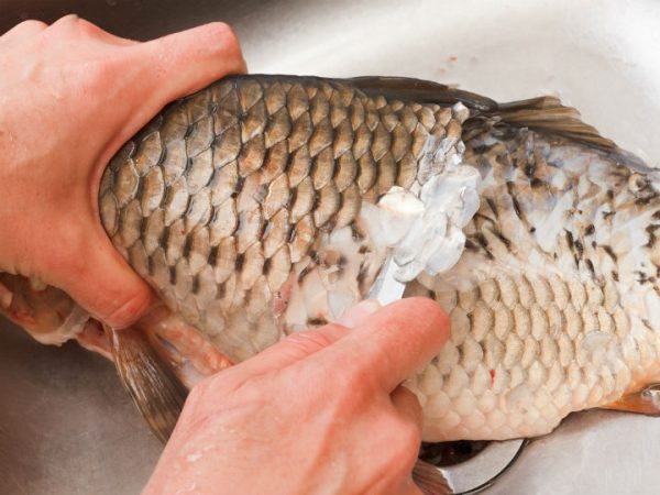 Merluza rebozada: este es el ingrediente secreto de Arguiñano 17 Merca2.es Las escamas