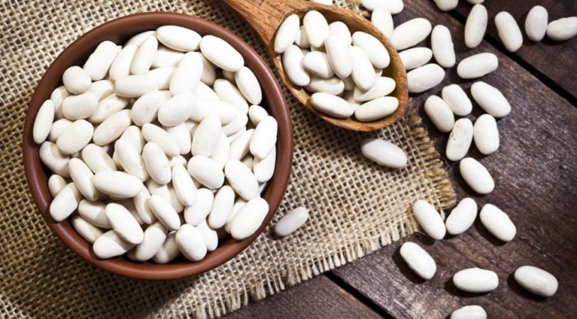 Las alubias blancas a estudio