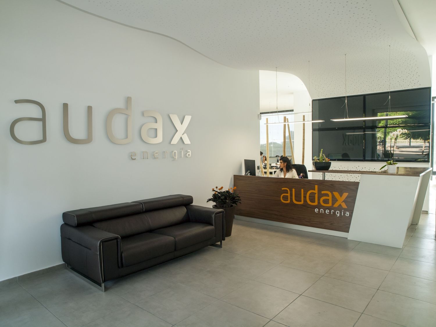 Audax Renovables