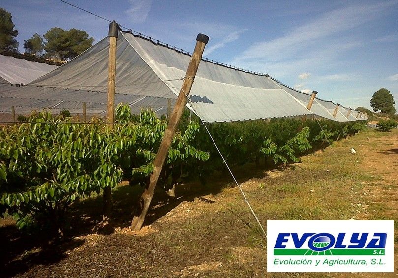 EVOLYA, líder en montaje de mallas antigranizo, refuerza su colaboración con la consultoría CEDEC