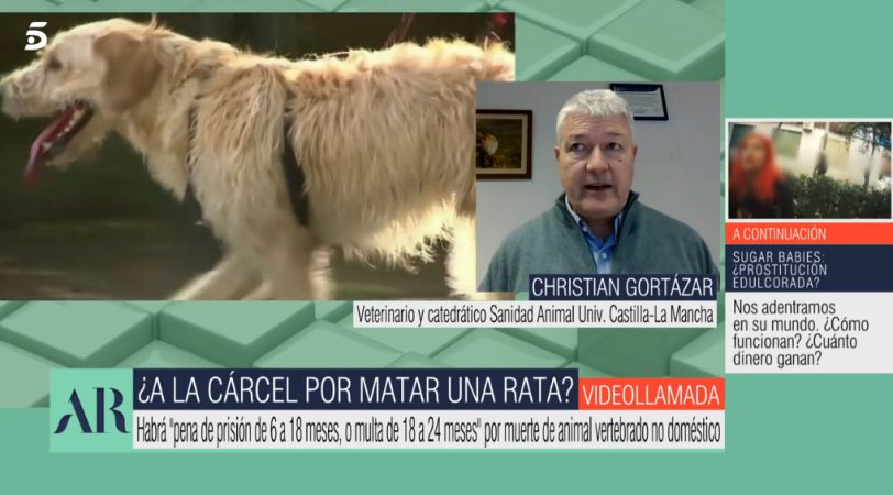 Christian Gortázar en El programa de Ana Rosa