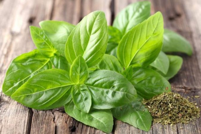 Es un potente antiinflamatorio, analgésico y cicatrizante