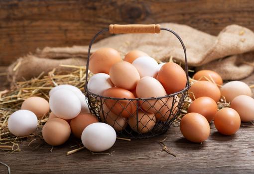 Fortalece las defensas