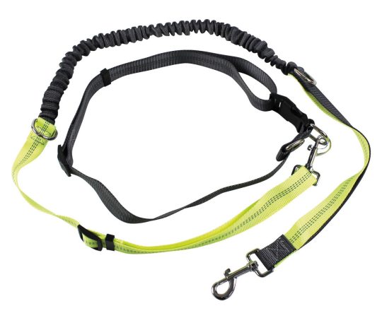 Correa cinturón de running + collar para perro 1 ud