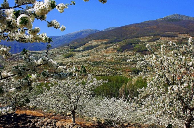 Los pueblos de España más bonitos donde ver almendros en flor 26 Merca2.es arribes Merca2.es