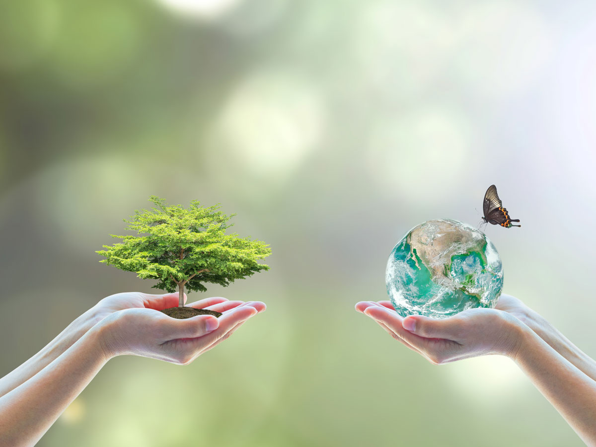 Soluciones prácticas para proteger la biodiversidad en España