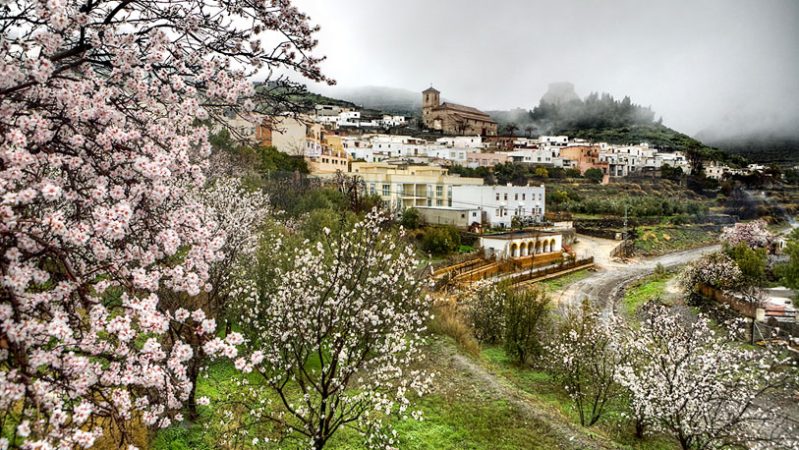 Los pueblos de España más bonitos donde ver almendros en flor 29 Merca2.es campo Merca2.es