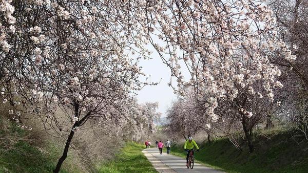 Los pueblos de España más bonitos donde ver almendros en flor 28 Merca2.es cordoba Merca2.es