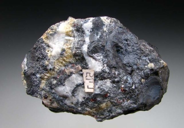 Las dietas más extrañas del mundo que te pueden dañar tu organismo gravemente 36 Merca2.es Dieta de ingerir Arsénico