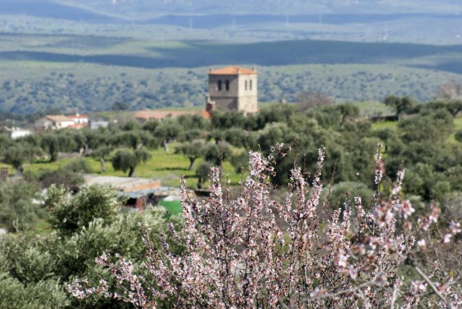 Los pueblos de España más bonitos donde ver almendros en flor 25 Merca2.es garrovillas Merca2.es