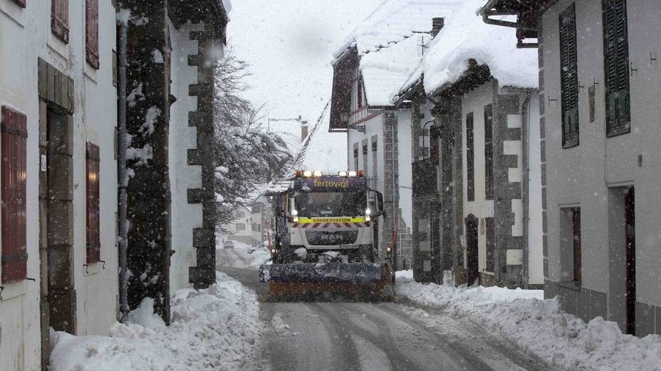 polar nieve