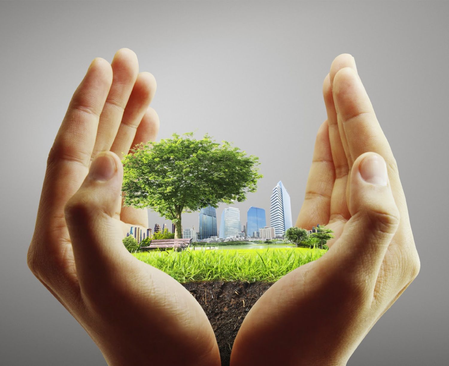 Por qué la calidad del aire es una preocupación ambiental 1 Merca2.es ecosistemas