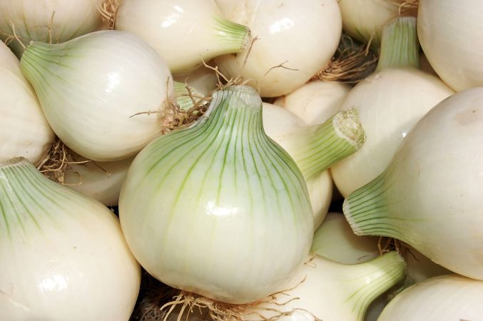 El valor nutricional de la cebolla