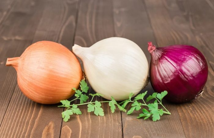 Propiedades de la cebolla