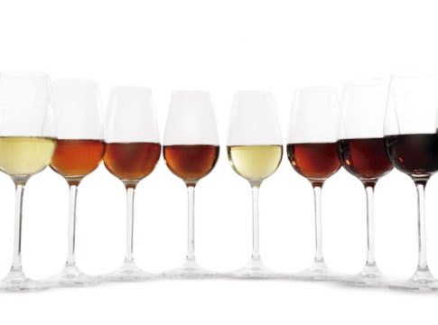 vino vino