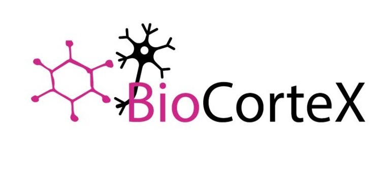 BioCorteX obtiene 5 millones de dólares de financiación liderada por Sofinnova Partners y Hoxton Ventures para desentrañar las interacciones entre fármacos y bacterias