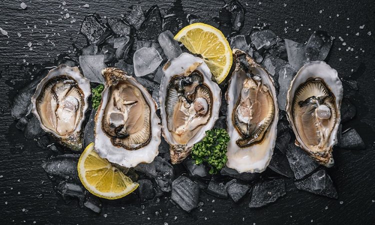 Nutrientes del salmón