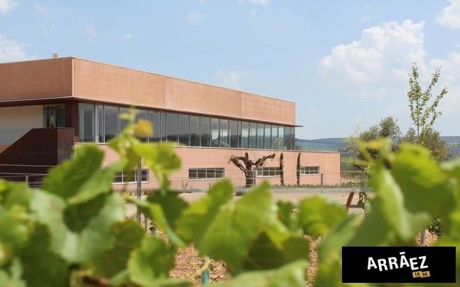 BODEGAS ARRÁEZ ha puesto en marcha la plataforma CEDEC BI para mejorar el control de su gestión empresarial
