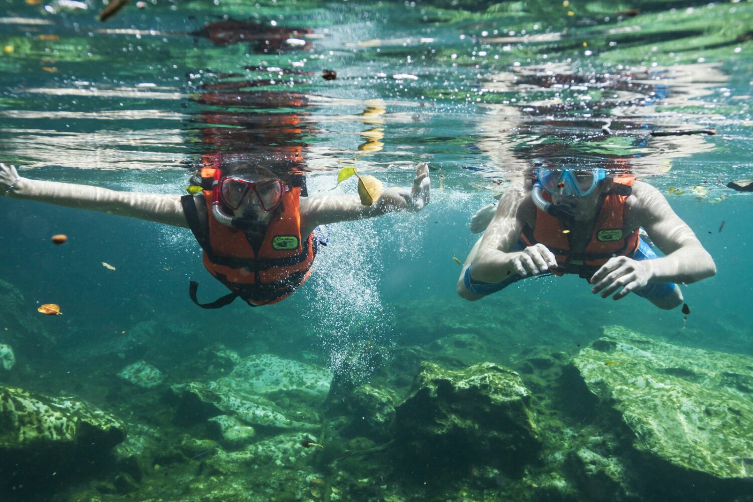 Ecoturismo: descubriendo los destinos más sostenibles del mundo