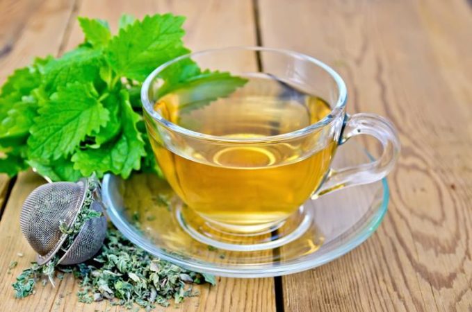 Té de toronjil, una de las mejores infusiones naturales